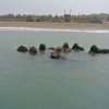Force Recon Course 2015_055